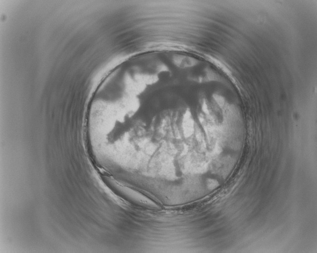 X0000061751379200512302226