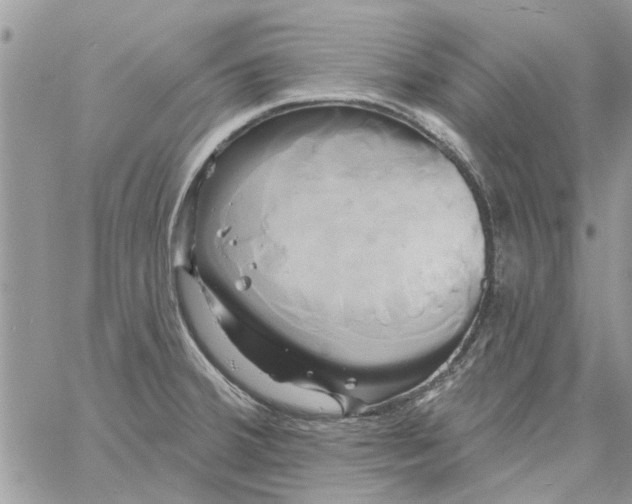 X0000061751380200512302226