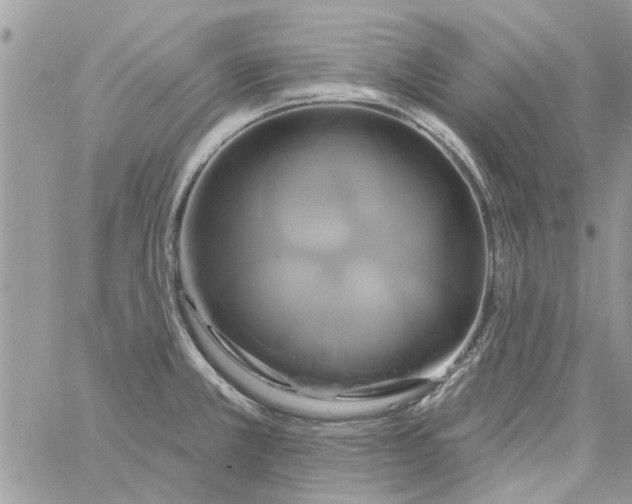 X0000061751381200512302226