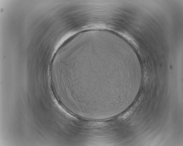 X0000061751382200512302226