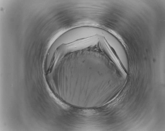 X0000061751383200512302226