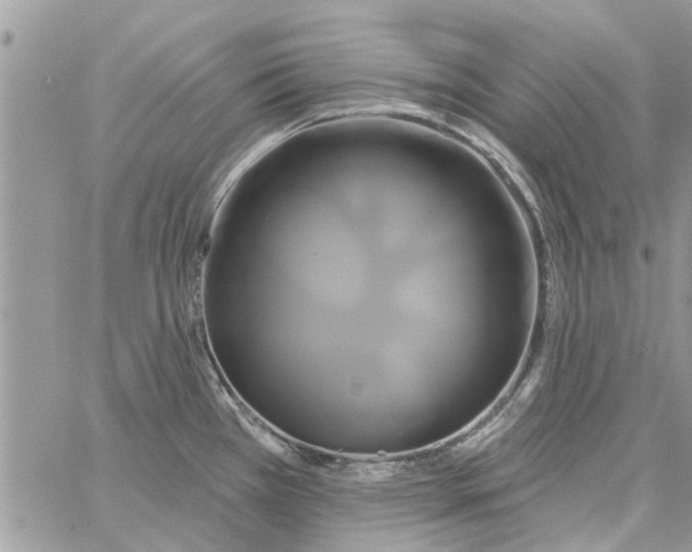 X0000061751385200512302226