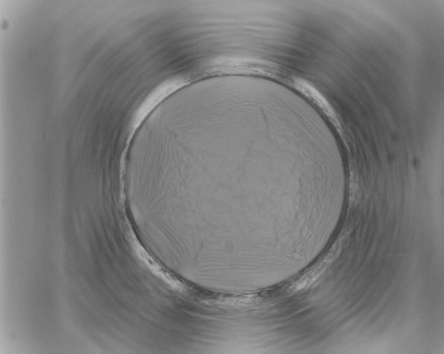 X0000061751386200512302226