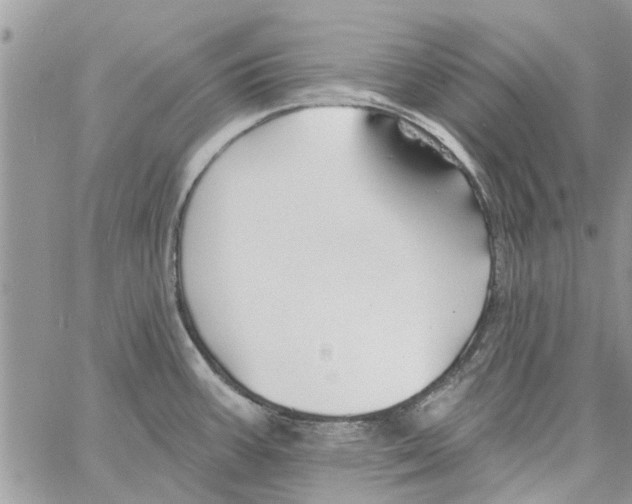 X0000061751387200512302226