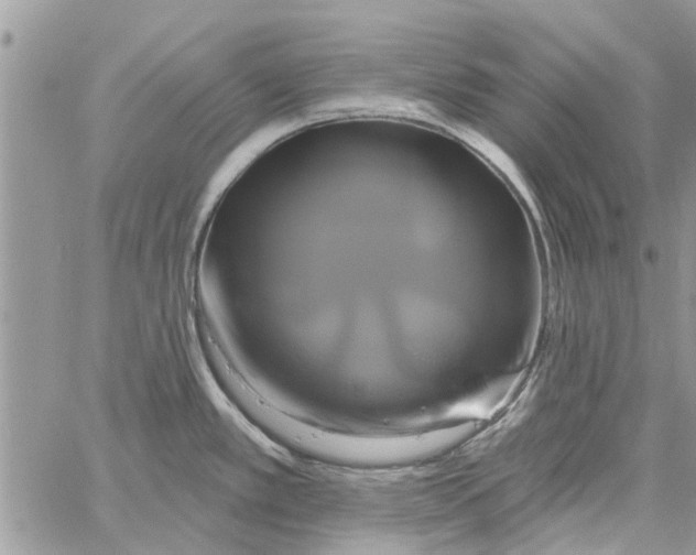 X0000061751389200512302226