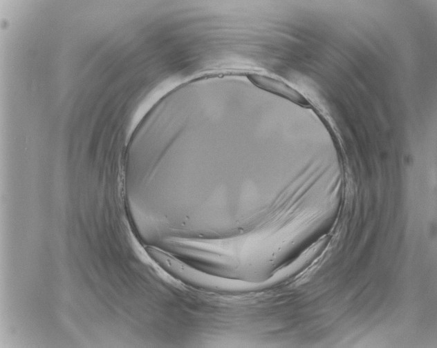 X0000061751390200512302226