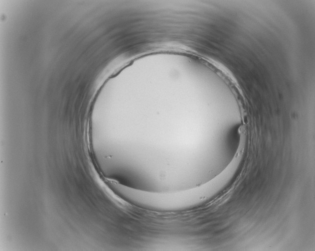 X0000061751391200512302226