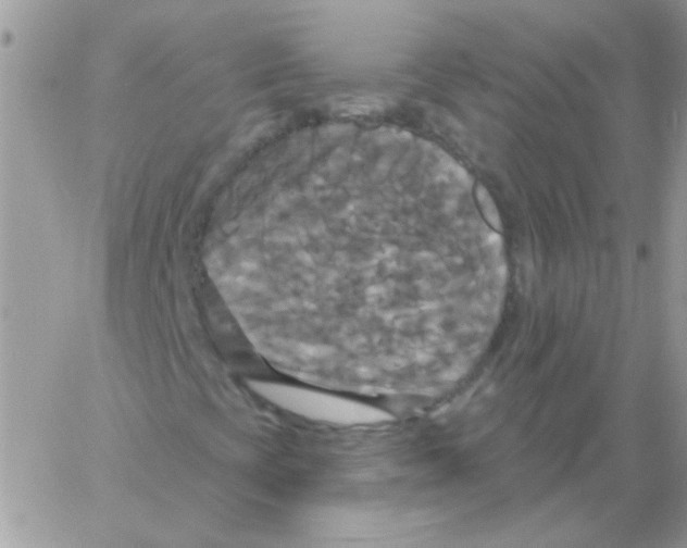 X0000061751393200512302225