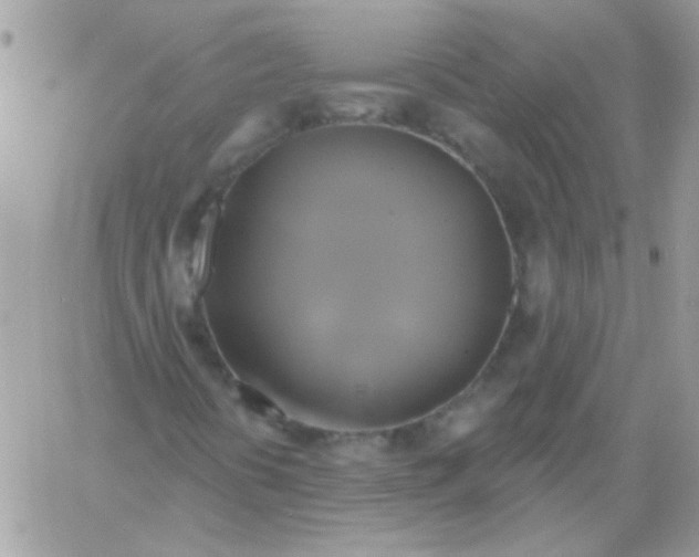 X0000061751394200512302225