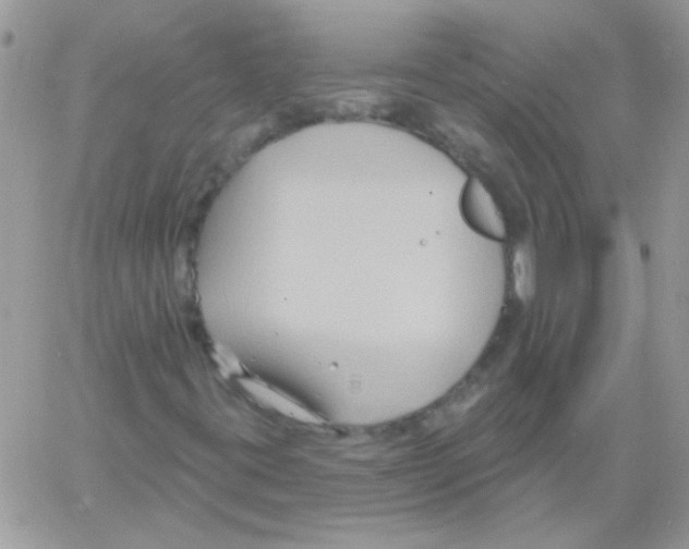 X0000061751395200512302225