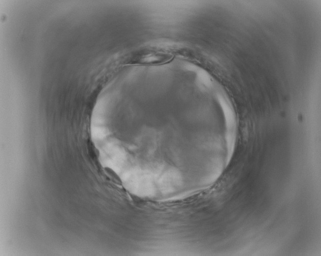 X0000061751397200512302225