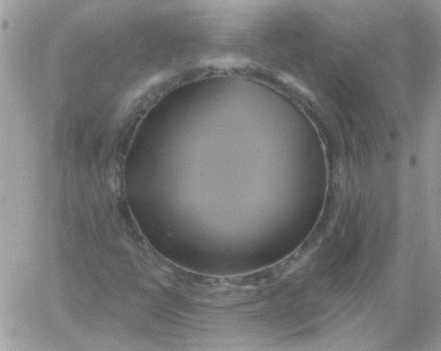 X0000061751398200512302225