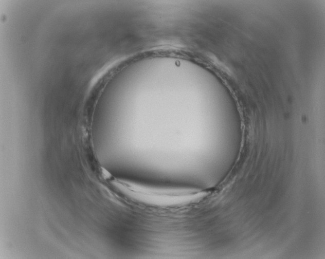 X0000061751400200512302225