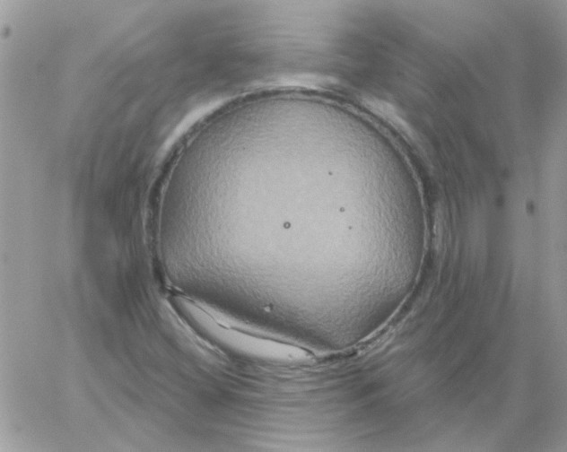 X0000061751404200512302225