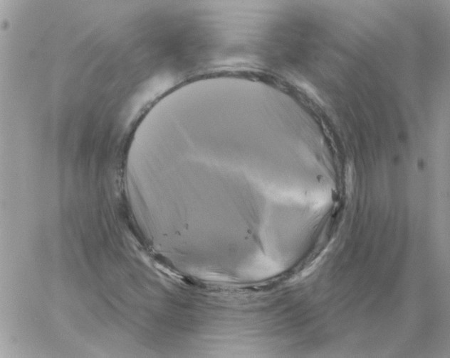 X0000061751405200512302225