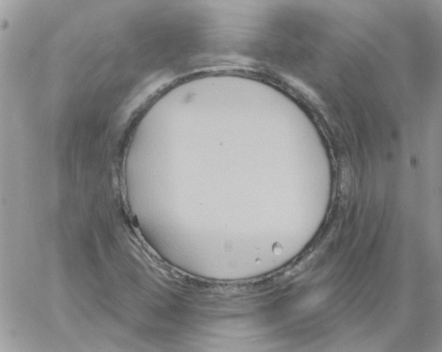 X0000061751407200512302225