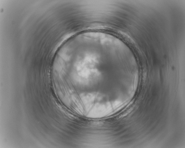 X0000061751409200512302225