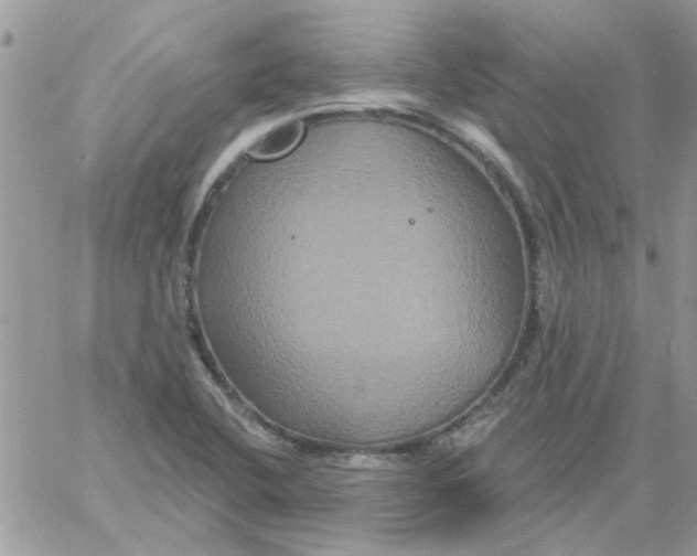 X0000061751412200512302226