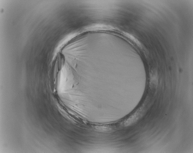 X0000061751413200512302226