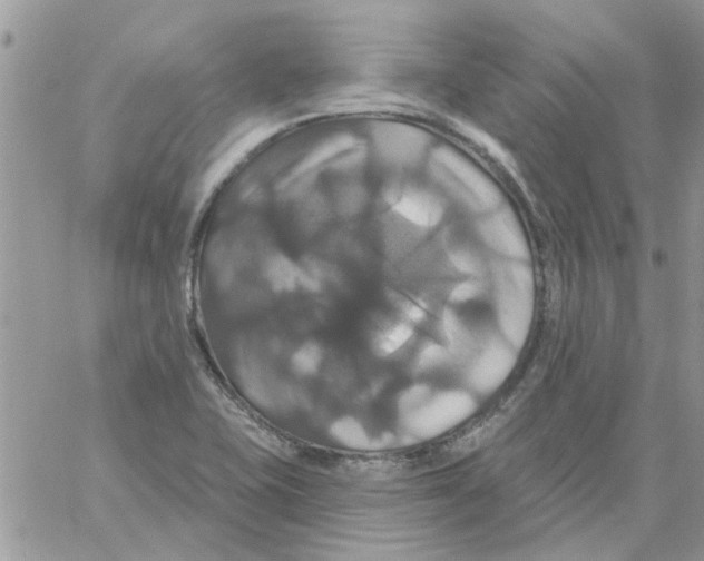 X0000061751415200512302226