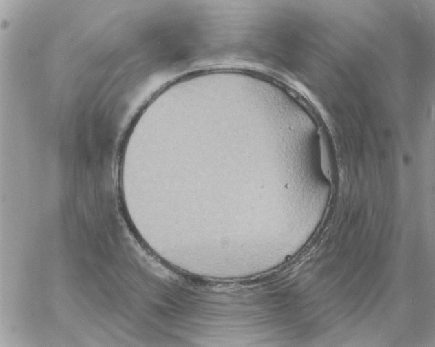 X0000061751416200512302226