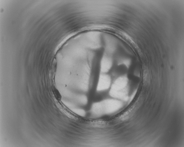 X0000061751417200512302226