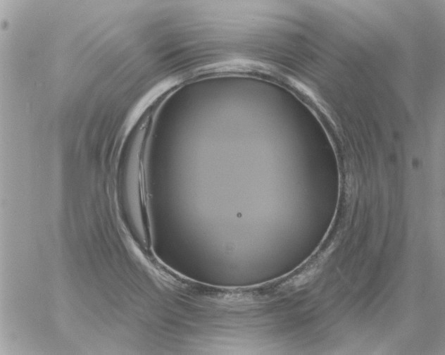 X0000061751418200512302226