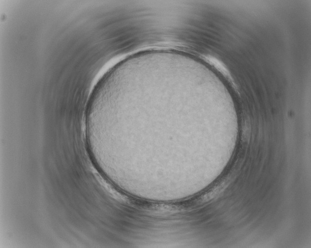 X0000061751420200512302226