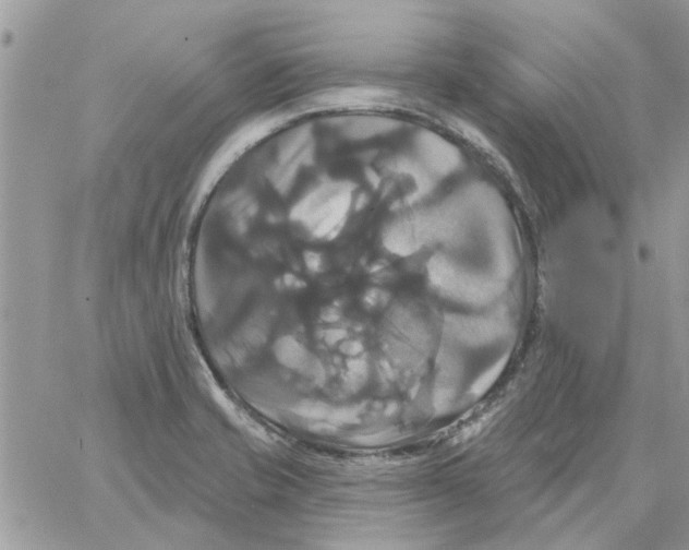 X0000061751421200512302226