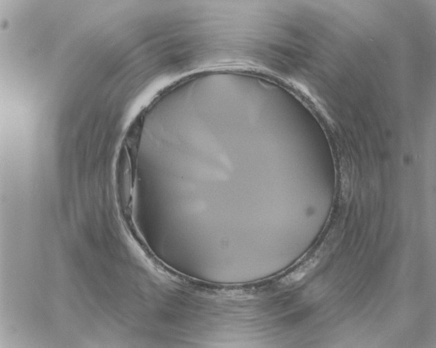 X0000061751422200512302226