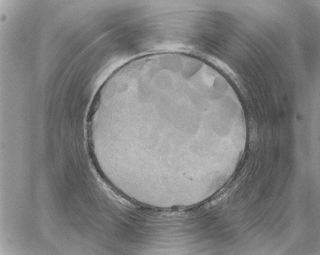 X0000061751423200512302226