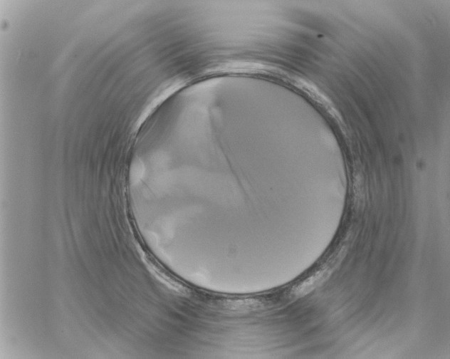 X0000061751425200512302226