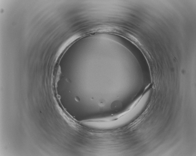 X0000061751426200512302226