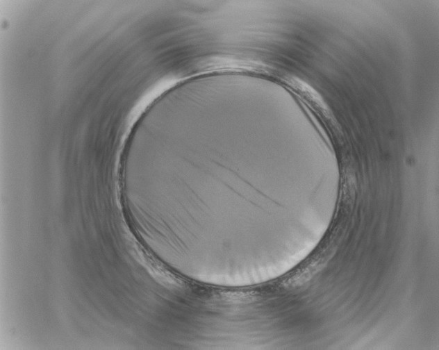 X0000061751427200512302226