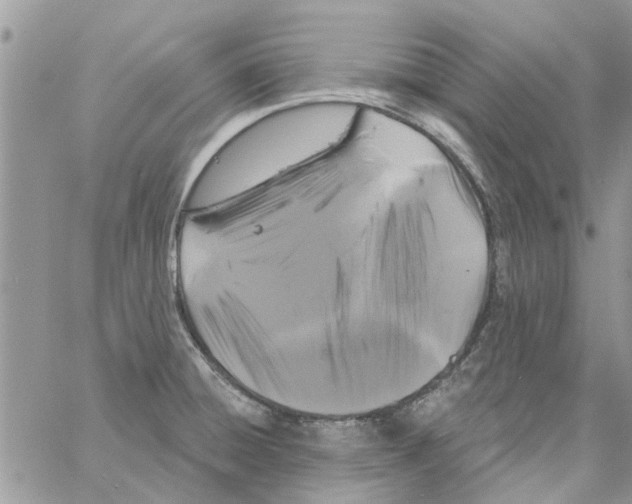 X0000061751428200512302226