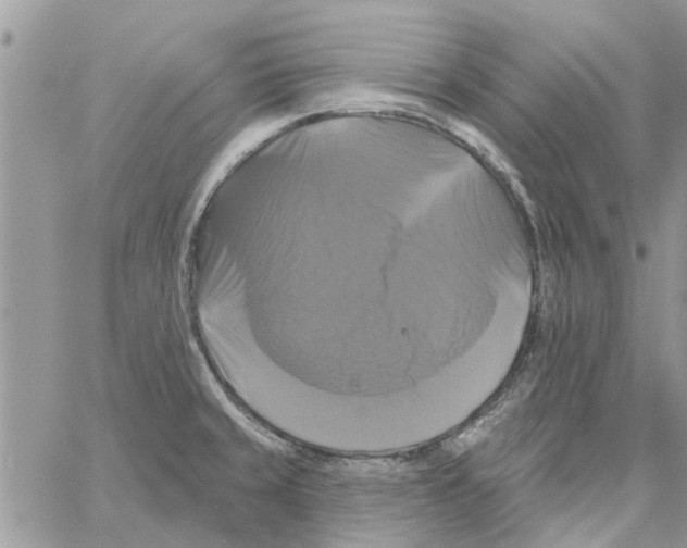 X0000061751429200512302226