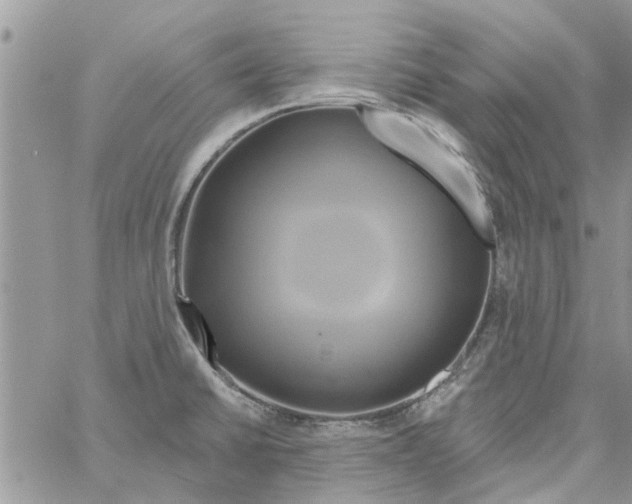 X0000061751430200512302226