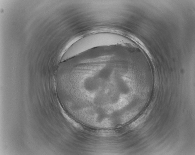 X0000061751433200512302226