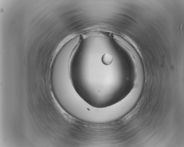 X0000061751434200512302226