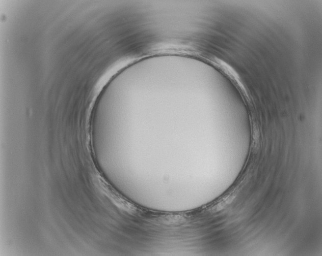 X0000061751435200512302226