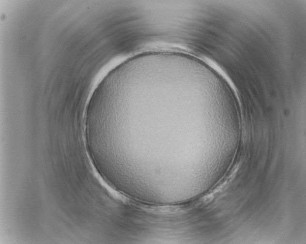 X0000061751437200512302226