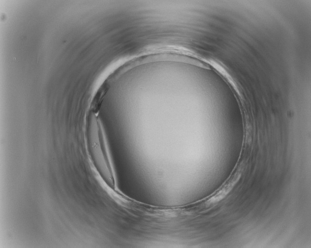 X0000061751438200512302226