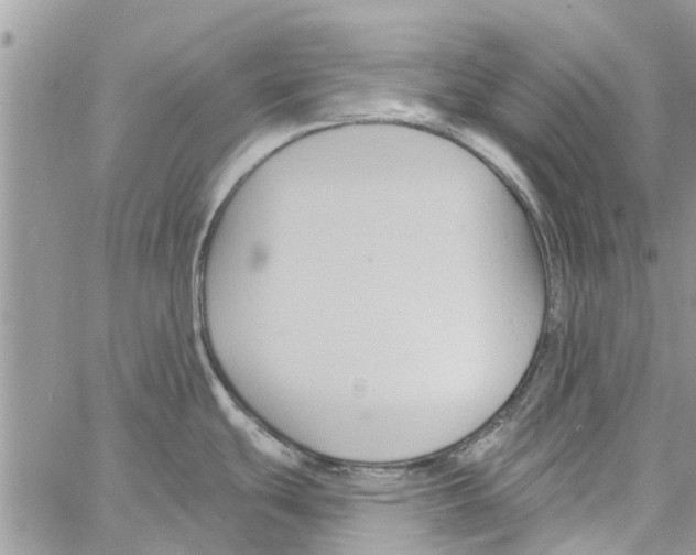 X0000061751439200512302226