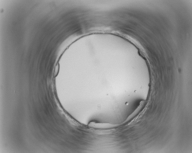 X0000061751440200512302226