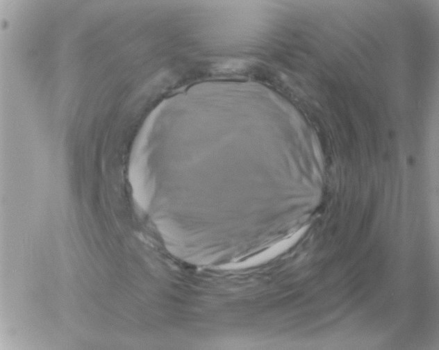 X0000061751441200512302225