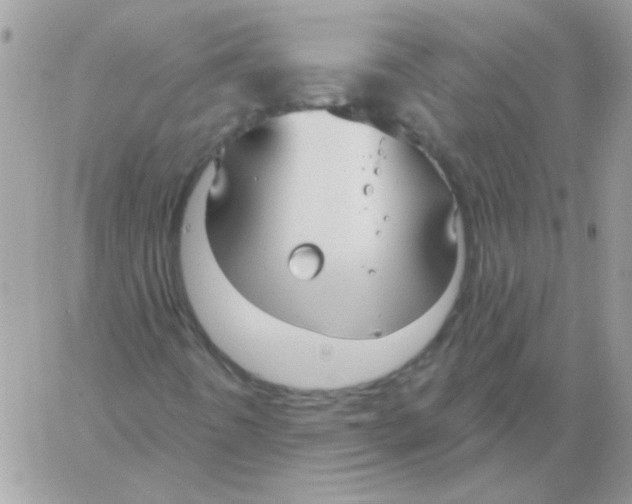 X0000061751442200512302225