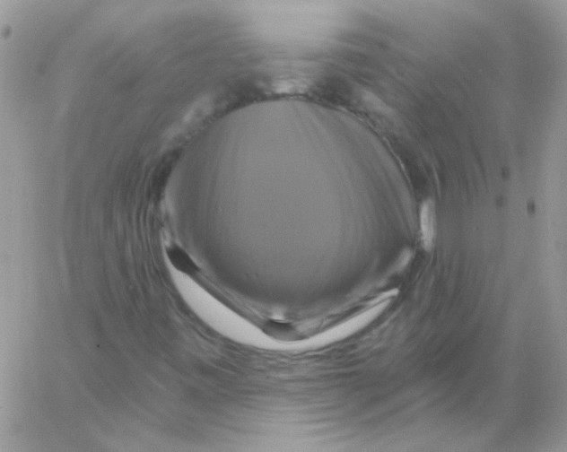 X0000061751443200512302225