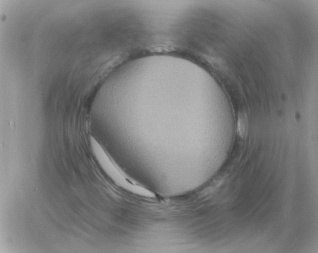 X0000061751444200512302225