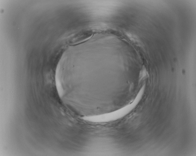 X0000061751445200512302225