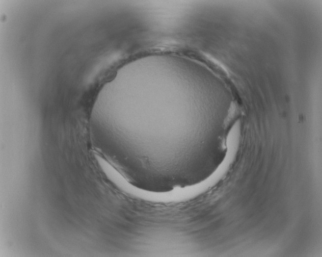 X0000061751447200512302225